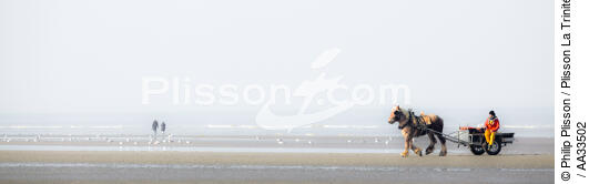Pêche à la crevette sur une plage du Nord - © Philip Plisson / Plisson La Trinité / AA33502 - Nos reportages photos - Panoramique horizontal
