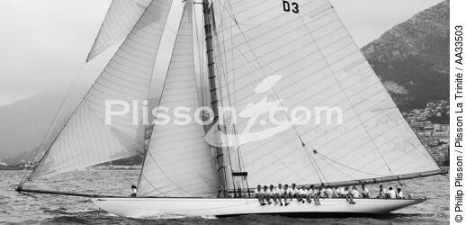 Tuiga - © Philip Plisson / Plisson La Trinité / AA33503 - Nos reportages photos - Tuiga
