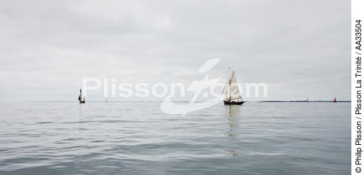  - © Philip Plisson / Plisson La Trinité / AA33504 - Photo Galleries - Calm sea