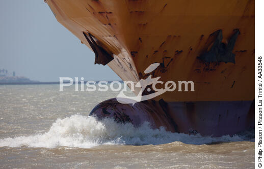 Guadalquivir Estuary - © Philip Plisson / Plisson La Trinité / AA33546 - Photo Galleries - Cargo ship