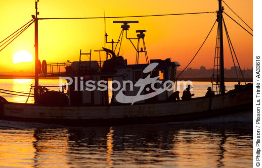 Ile de Faro - © Philip Plisson / Plisson La Trinité / AA33616 - Nos reportages photos - Bateau de pêche