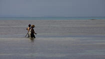 Ile Sainte-Marie, Madagascar © Philip Plisson / Plisson La Trinité / AA33821 - Nos reportages photos - Sainte Marie