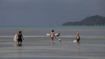 Ile Sainte-Marie, Madagascar © Philip Plisson / Plisson La Trinité / AA33823 - Nos reportages photos - Pêcheur