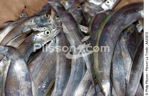 Senne sur la plage de Moroantsetra - © Philip Plisson / Plisson La Trinité / AA33872 - Nos reportages photos - Pêche