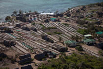 Nosy Ankao, Madagascar. © Philip Plisson / Plisson La Trinité / AA33964 - Nos reportages photos - Aquaculture
