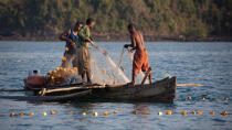 Nosy-Be © Philip Plisson / Plisson La Trinité / AA34194 - Nos reportages photos - Materiel de pêche