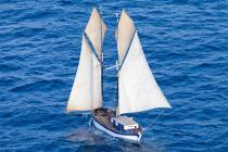 Malagasy dhow © Philip Plisson / Plisson La Trinité / AA34413 - Photo Galleries - Traditional sailing
