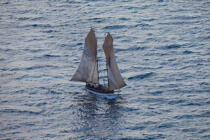 Malagasy dhow © Philip Plisson / Plisson La Trinité / AA34416 - Photo Galleries - Traditional sailing