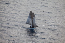 Malagasy dhow © Philip Plisson / Plisson La Trinité / AA34417 - Photo Galleries - Traditional sailing