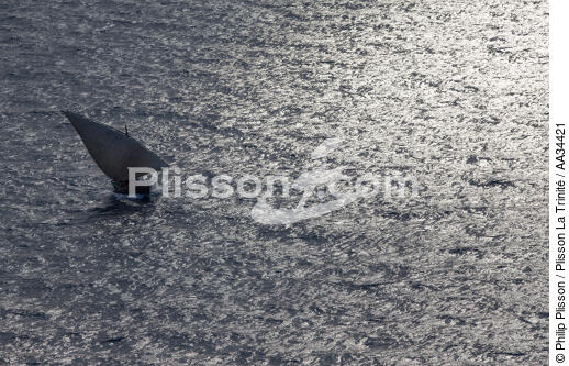 Boutre Malgache - © Philip Plisson / Plisson La Trinité / AA34421 - Nos reportages photos - Contre-jour