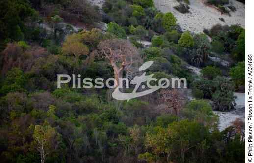 Marovasa bay - © Philip Plisson / Plisson La Trinité / AA34693 - Photo Galleries - Baobab