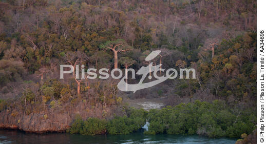 Marovasa bay - © Philip Plisson / Plisson La Trinité / AA34698 - Photo Galleries - Baobab