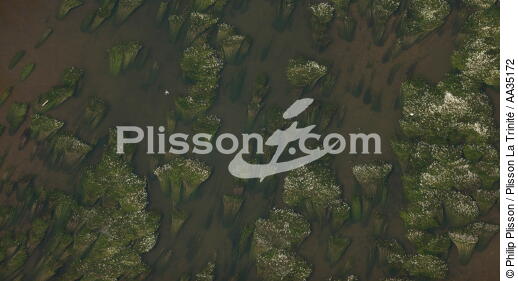 Le Loiret vue du ciel - © Philip Plisson / Plisson La Trinité / AA35172 - Nos reportages photos - Hydrologie