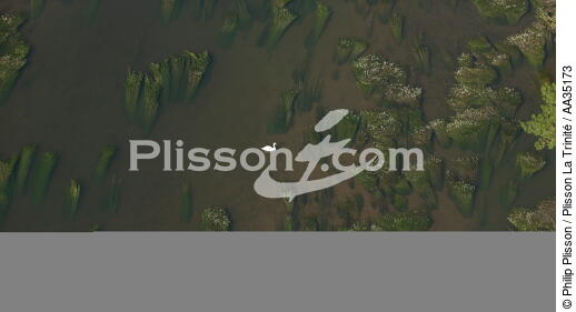 Le Loiret vue du ciel - © Philip Plisson / Plisson La Trinité / AA35173 - Nos reportages photos - Fleuve