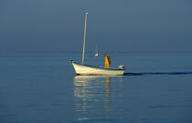 Small fishing © Philip Plisson / Plisson La Trinité / AA35406 - Photo Galleries - Small boat