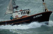 Pêche côtière © Philip Plisson / Plisson La Trinité / AA35411 - Nos reportages photos - Mer agitée