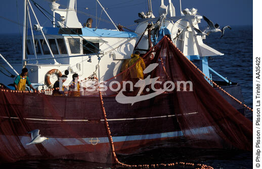 Pêche à la sardine - © Philip Plisson / Plisson La Trinité / AA35422 - Nos reportages photos - Pêche