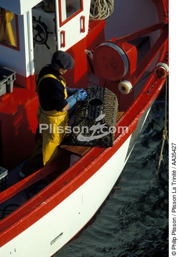 Caseyeur - © Philip Plisson / Plisson La Trinité / AA35427 - Nos reportages photos - Pêche