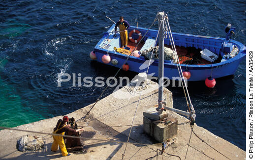 Retour de pêche - © Philip Plisson / Plisson La Trinité / AA35429 - Nos reportages photos - Pêche côtière