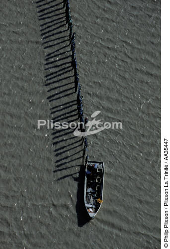 Parc à moules - © Philip Plisson / Plisson La Trinité / AA35447 - Nos reportages photos - Pêche