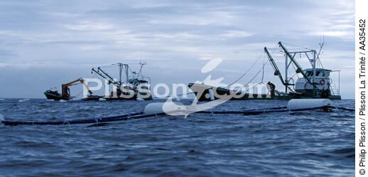 Myticole on pontoon parks at sea - © Philip Plisson / Plisson La Trinité / AA35452 - Photo Galleries - Fishing