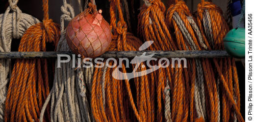 Inshore fishing - © Philip Plisson / Plisson La Trinité / AA35456 - Photo Galleries - Town [29]