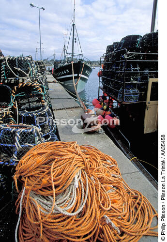 Le port de Roscoff - © Philip Plisson / Plisson La Trinité / AA35458 - Nos reportages photos - Casier