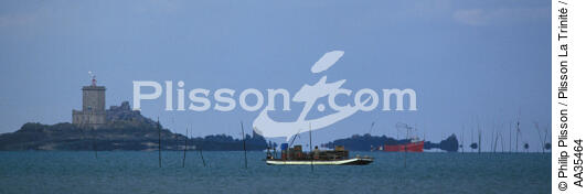 Pontoon oyster bay of Morlaix - © Philip Plisson / Plisson La Trinité / AA35464 - Photo Galleries - Fishing