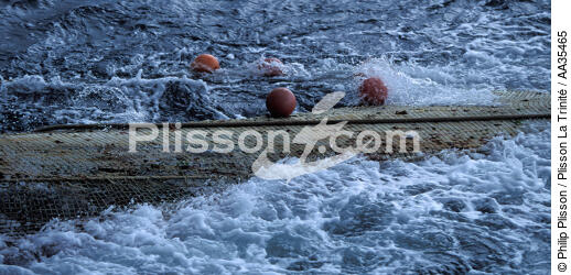 Pêche côtière - © Philip Plisson / Plisson La Trinité / AA35465 - Nos reportages photos - Pêche