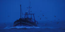 Back Fishing Guilvinec © Philip Plisson / Plisson La Trinité / AA35469 - Photo Galleries - Moment of the day