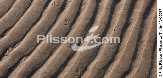 Dessins sur le sable - © Philip Plisson / Plisson La Trinité / AA35517 - Nos reportages photos - Paysage littoral