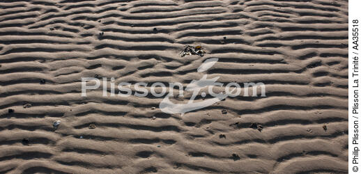 Dessins sur le sable - © Philip Plisson / Plisson La Trinité / AA35518 - Nos reportages photos - Sable