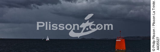 La baie de Morlaix - © Philip Plisson / Plisson La Trinité / AA35527 - Nos reportages photos - Finistère