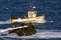 Small-scale fishing in the Bay of Quiberon © Philip Plisson / Plisson La Trinité / AA35532 - Photo Galleries - Types of fishing