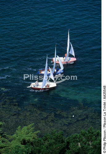 Caravelles dans le Golfe du Morbihan - © Philip Plisson / Plisson La Trinité / AA35548 - Nos reportages photos - Dériveur