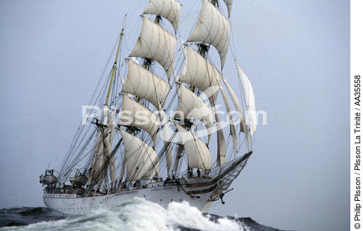 The Three Mast Barque Statsraad Lehmkuhl - © Philip Plisson / Plisson La Trinité / AA35558 - Photo Galleries - Tall ships