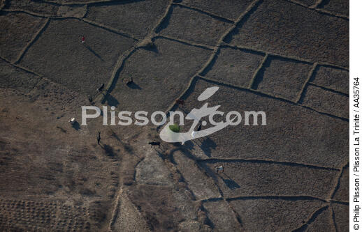 Majunga, côtes Nord Ouest de Madagascar. - © Philip Plisson / Plisson La Trinité / AA35764 - Nos reportages photos - Vue aérienne