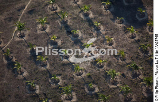 Majunga, côtes Nord Ouest de Madagascar. - © Philip Plisson / Plisson La Trinité / AA35765 - Nos reportages photos - Vue aérienne