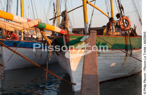 Port de Majunga, côtes Nord Ouest de Madagascar. - © Philip Plisson / Plisson La Trinité / AA35845 - Nos reportages photos - Port
