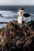 Tevennec lighthouse © Philip Plisson / Plisson La Trinité / AA35901 - Photo Galleries - Maritime Signals