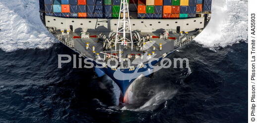 The container ship Marco Polo - © Philip Plisson / Plisson La Trinité / AA35933 - Photo Galleries - CMA CGM Marco Polo