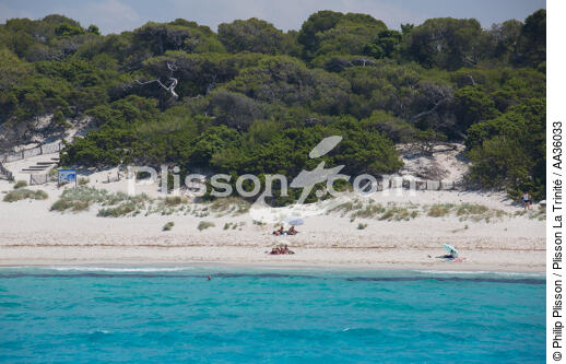 Désert des Agriates, Corse - © Philip Plisson / Plisson La Trinité / AA36033 - Nos reportages photos - Paysage littoral