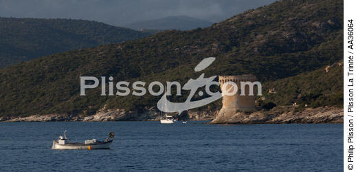 Saint-Florent en Corse - © Philip Plisson / Plisson La Trinité / AA36064 - Nos reportages photos - Tour