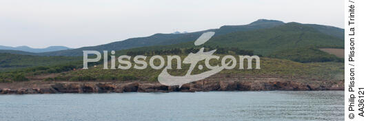Cap Corse, côte Est - © Philip Plisson / Plisson La Trinité / AA36121 - Nos reportages photos - Vignoble