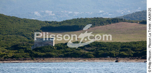 Cap Corse, côte Est - © Philip Plisson / Plisson La Trinité / AA36125 - Nos reportages photos - Site [Corse]