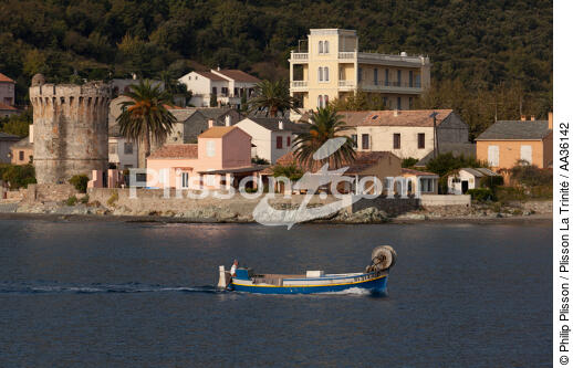 Miomo, Cap Corse - © Philip Plisson / Plisson La Trinité / AA36142 - Nos reportages photos - Bateau de pêche