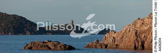 Corsica South East - © Philip Plisson / Plisson La Trinité / AA36204 - Photo Galleries - Corsica