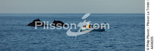 Corsica South East - © Philip Plisson / Plisson La Trinité / AA36205 - Photo Galleries - Fishing vessel