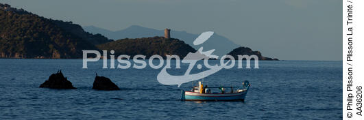 Corsica South East - © Philip Plisson / Plisson La Trinité / AA36206 - Photo Galleries - Corsica