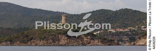 Corse Sud Est - © Philip Plisson / Plisson La Trinité / AA36226 - Nos reportages photos - Collection Créative